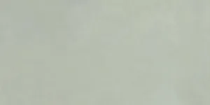 Infinita Asparago 30×60 Rett