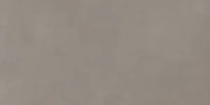 Infinita Cenere 30×60 Rett