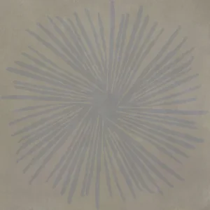 Infinita Dec Fiore Macro Cenere-Fumo 60×60 Rett