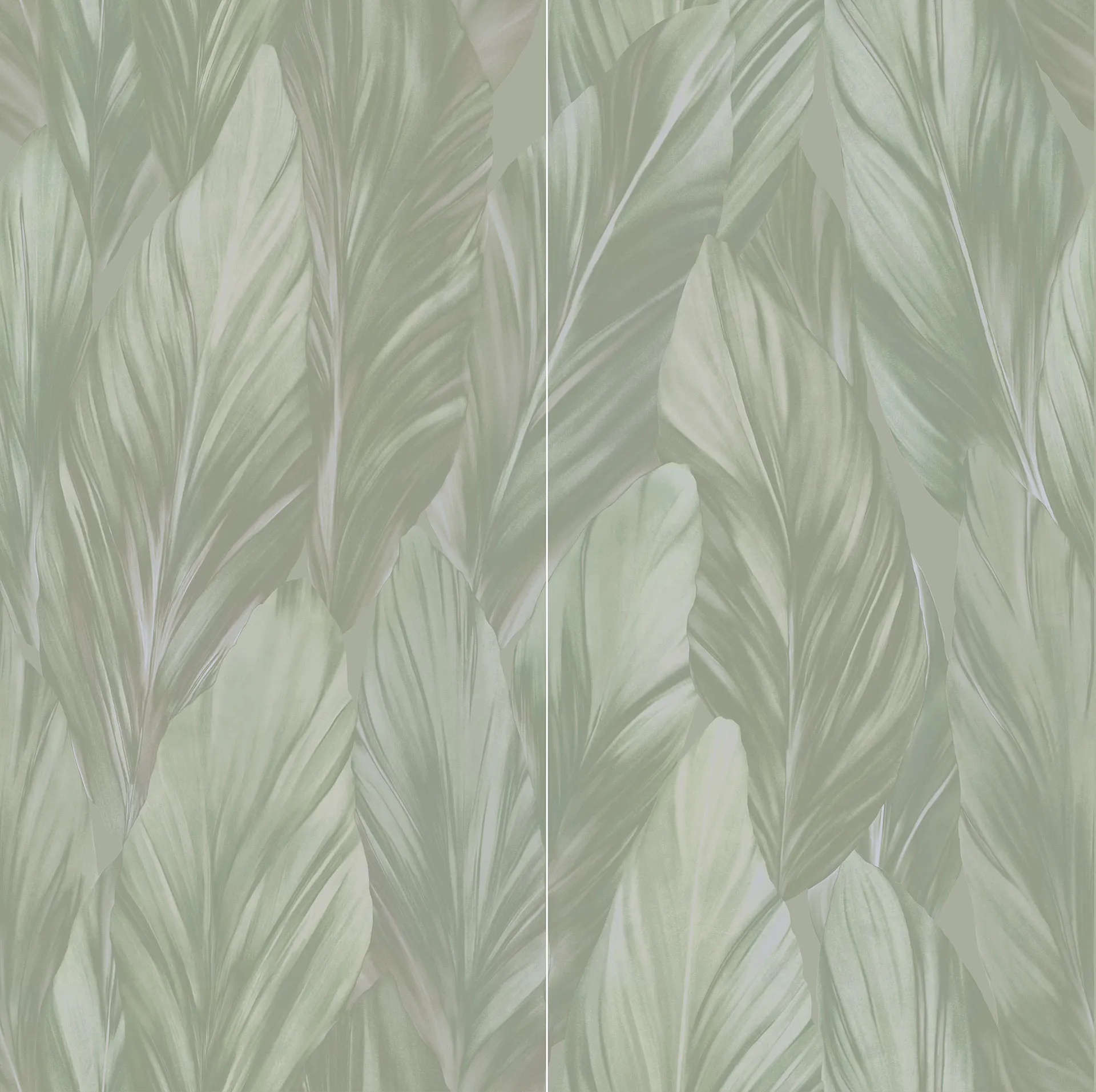 1580srnsw029.webp