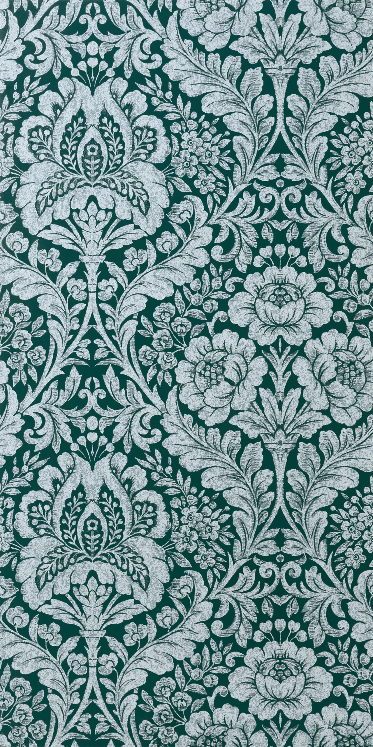 1580srnsw056.webp