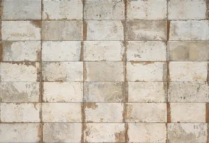 CIR HAVANA Sugar Cane 10×20