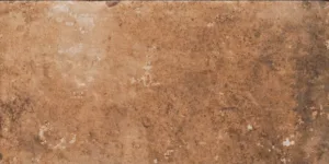 CIR HAVANA Cohiba 20×40