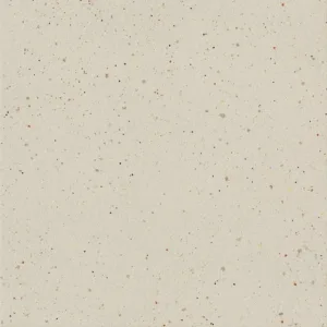 CIR FOREVER COLOR pepper Ivory 20×20