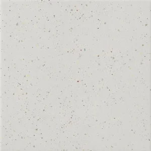 CIR FOREVER COLOR pepper White 20×20