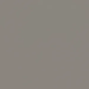 CIR FOREVER COLOR matte finish Grey 20×20