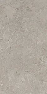 STONE VISION ash Rett 60×120
