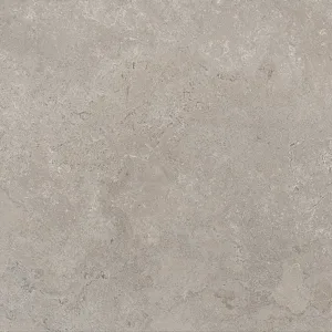 STONE VISION ash Rett 60×60